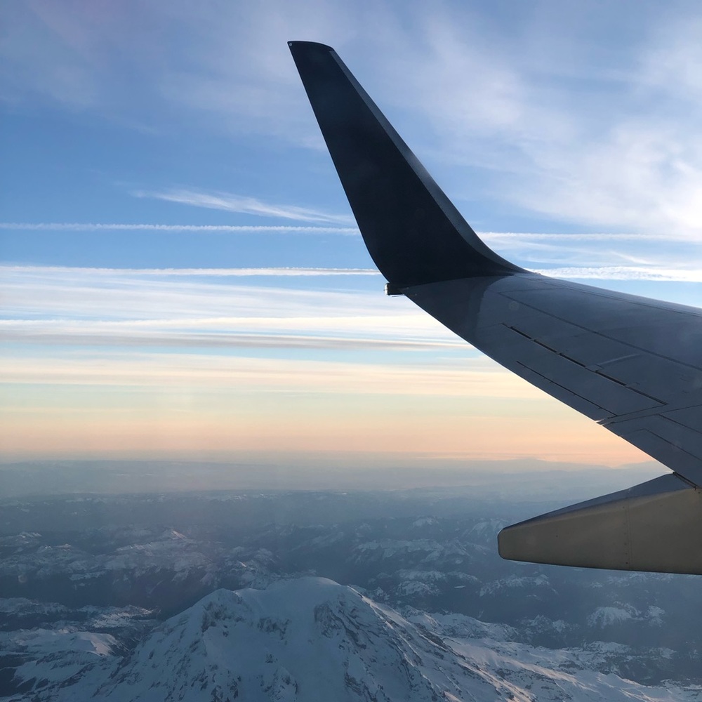 Meet your posher, Lilly